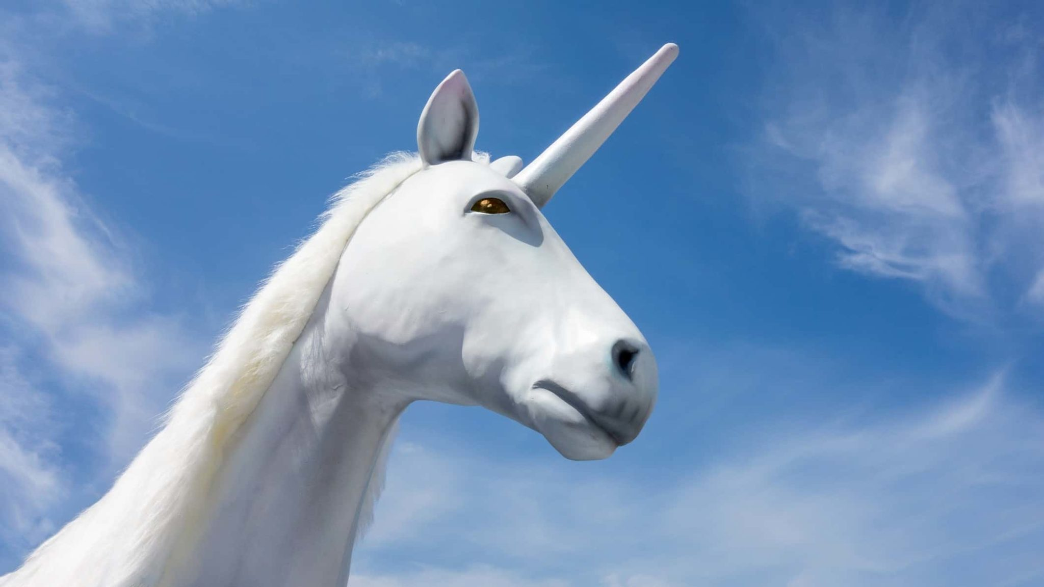 Input Image: Unicorn